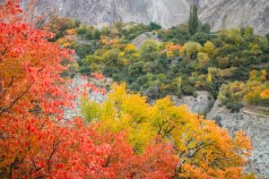 autumn tour pakistan